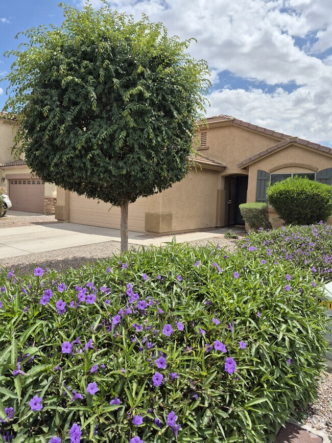 Building Photo - 1725 W Matthews Dr