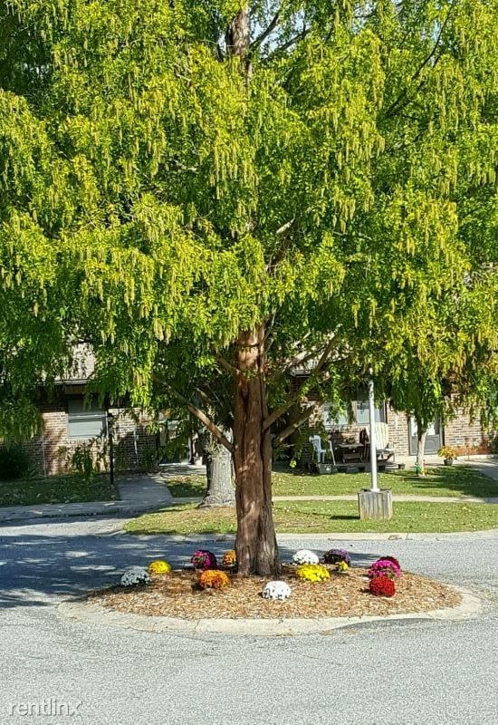 Building Photo - 2 br, 1 bath Apartment - 30 Patrick Drive