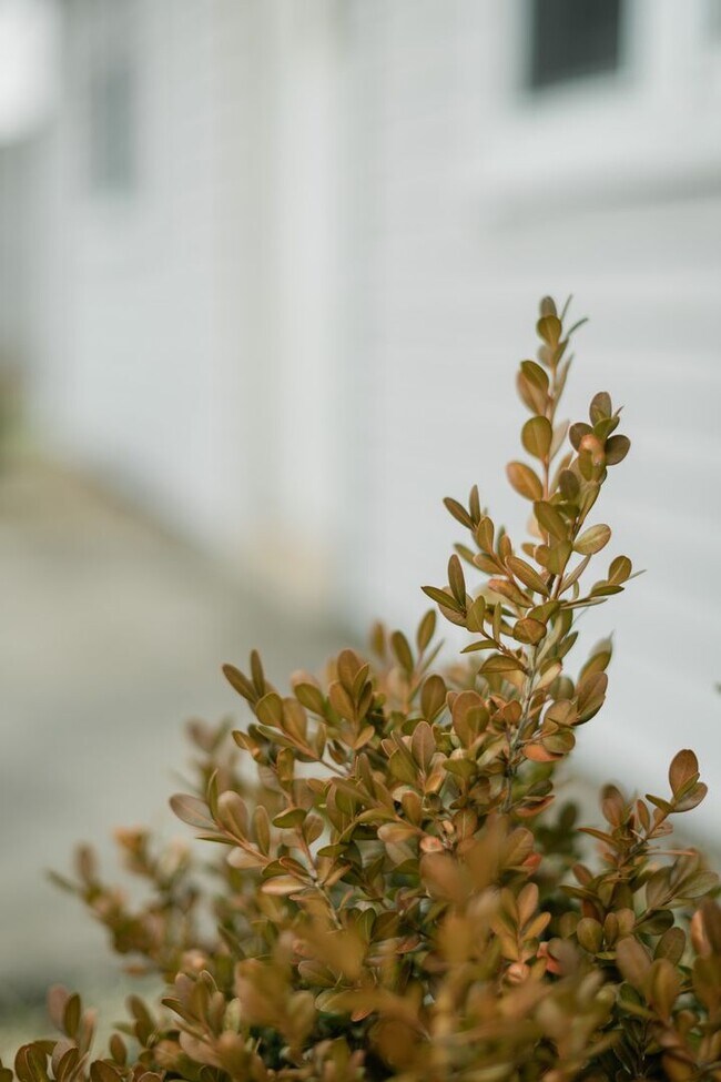 Building Photo - 3 Bedroom / 1 Bathroom Home for Rent in Crown Point