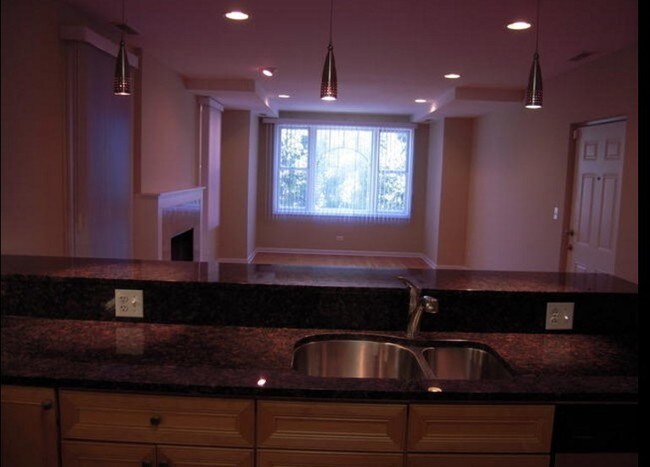 214 S Hamilton Ave Unit 2n Chicago Il 60612 Apartment For Building Photo 214 S Hamilton Ave