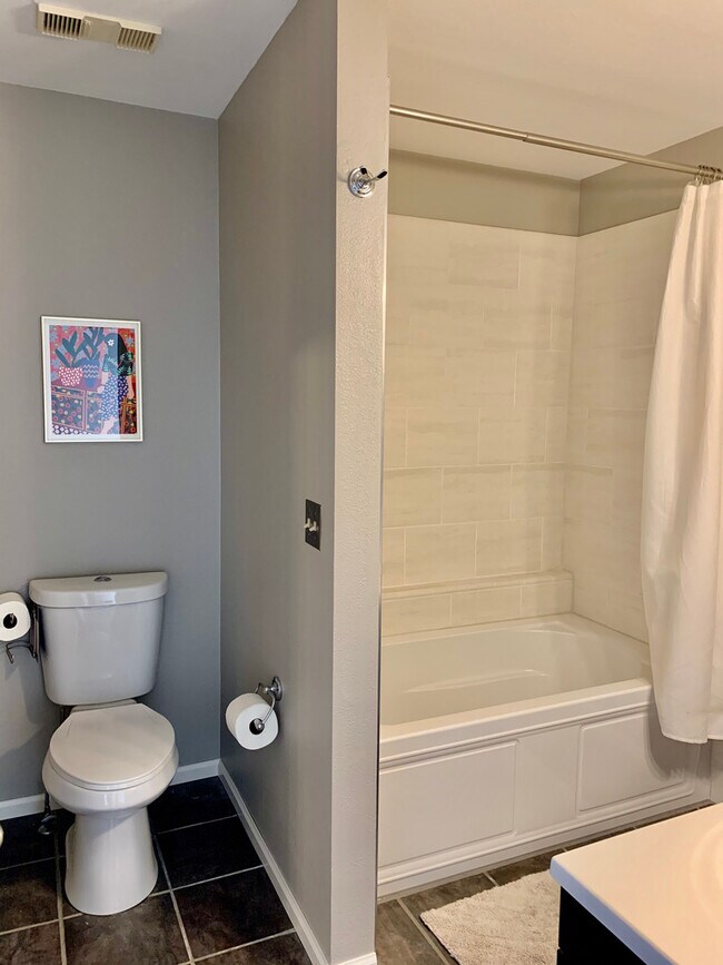Updated master bath - 3795 Birchwood Dr