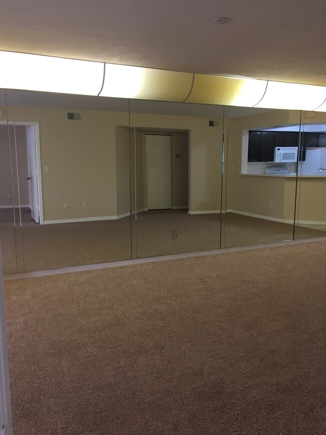 Living Room - Mirrored Wall - 28260 Pine Haven Way