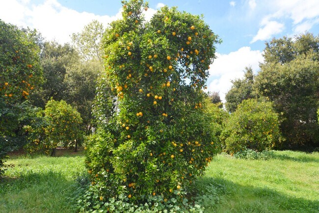 Foto del edificio - 777 Quail St.