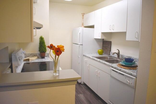 Allyson Gardens Ii Apartments Owings Mills Md Apartments Com