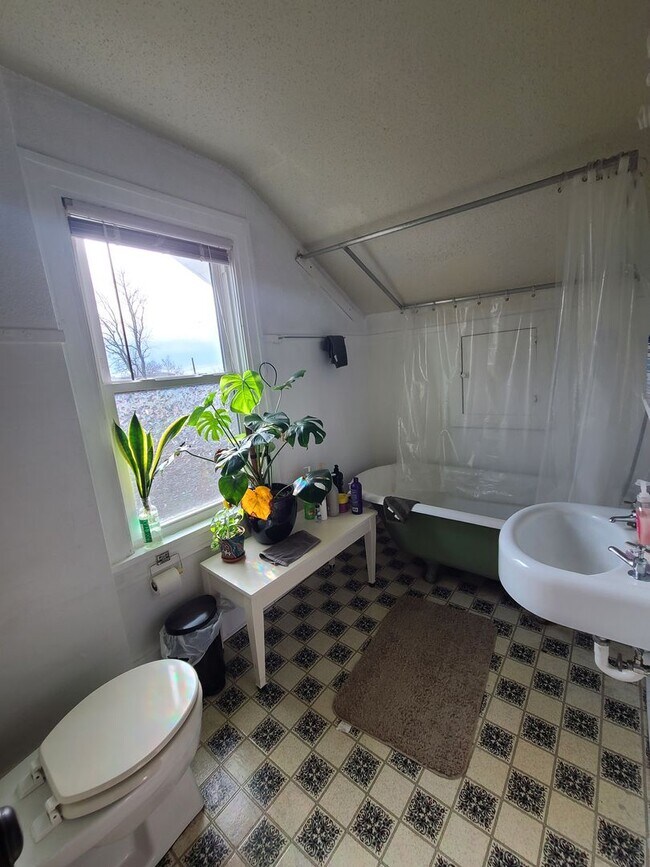 Foto del edificio - 709 N Busey Ave