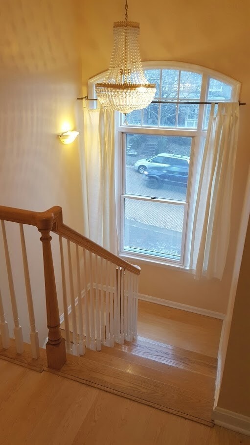 Spacious 3 bedroom 2.5 bath in Squirrel Hill! - Spacious 3 bedroom 2.5 bath in Squirrel Hill! House