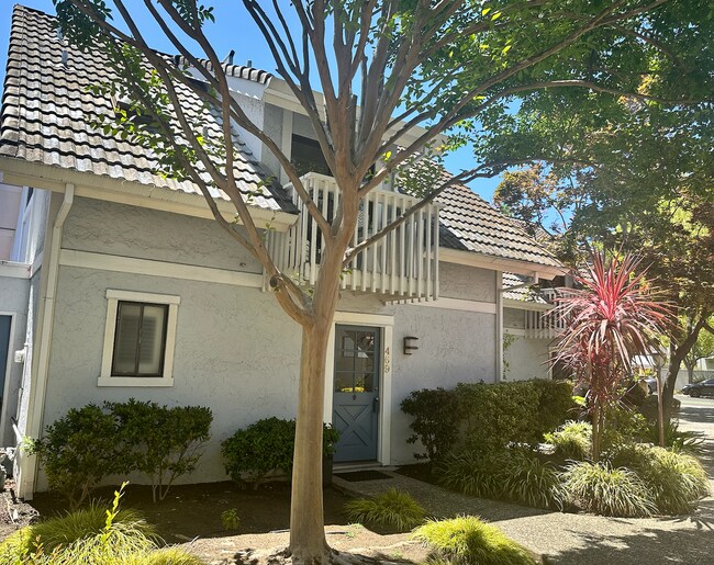 Foto del edificio - Palo Alto: Beautiful 2 Bedroom 1.5 Bathroo...