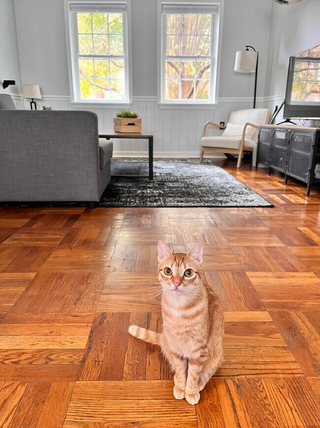 Foto del edificio - 6616 E Wakefield Dr