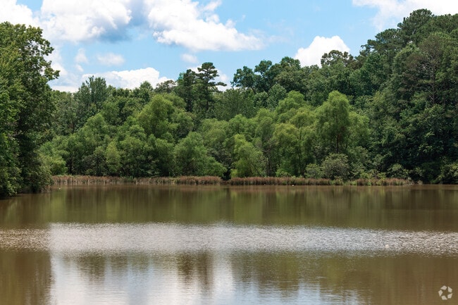 Lithia Springs' Sweetwater Creek Park features over 2,549-acres with scenic versatile water.