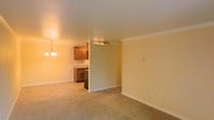 This single-floor space offers an open-concept layout that seamlessly connects the living area to the kitchen. The living area is finished with plush wall-to-wall carpeting in a neutral beige tone, providing a comfortable and cohesive foundation throughout the space. Soft yellow-toned walls reflect warm ambient light, contributing to an inviting atmosphere. Crown molding runs along the ceiling perimeter, adding a subtle architectural detail that elevates the overall finish of the space.

The kitchen is partially separated by a half-wall partition, defining the cooking area while maintaining an open feel. It features warm-toned wooden cabinetry, a dark appliance, and is illuminated by an under-cabinet light fixture. An elegant chandelier with multiple bulbs hangs in the kitchen area, serving as a decorative focal point and providing warm overhead lighting.

White baseboards frame the walls throughout, complementing the clean, neutral palette. The space is practical and well-proportioned, with a straightforward single-floor layout that lends itself to easy navigation and functional everyday living.