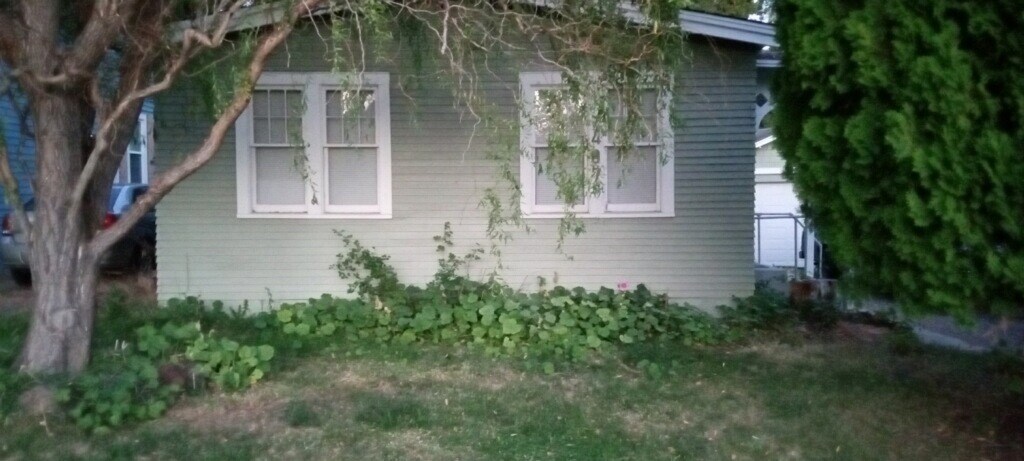 Foto principal - 407 S 19th Ave