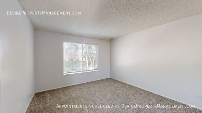 Building Photo - 1603 Coco Palm Ct