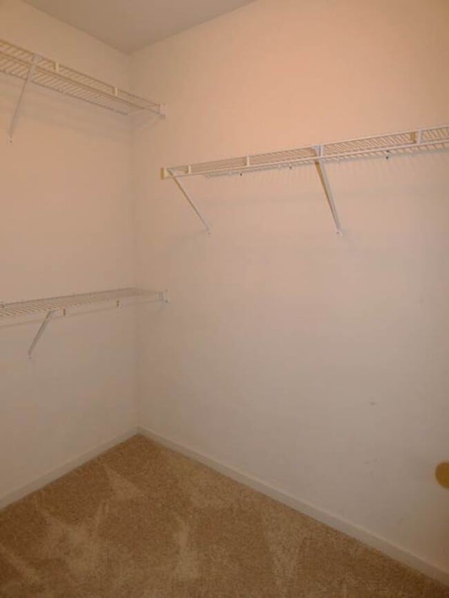Building Photo - 6019 Townley Ct