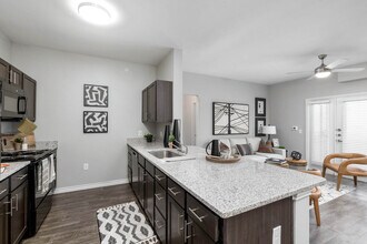 Building Photo - The Standard at Royal Lane