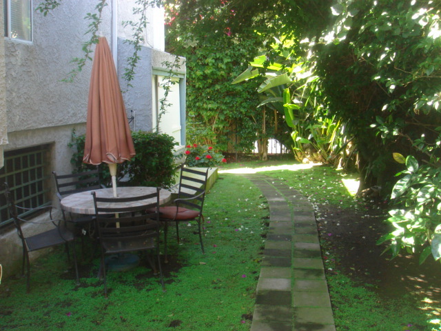 Yard - 11925 Avon Way