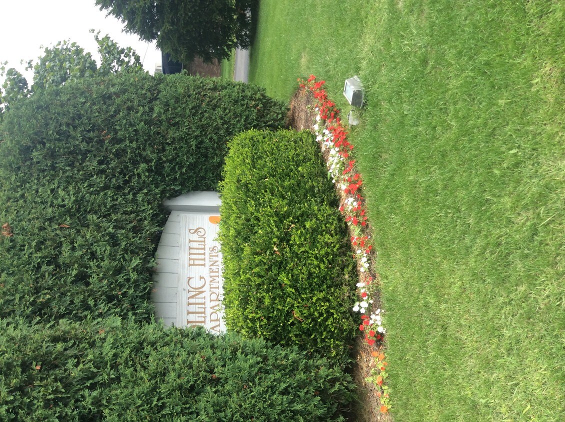 Foto principal - 3602 16th St