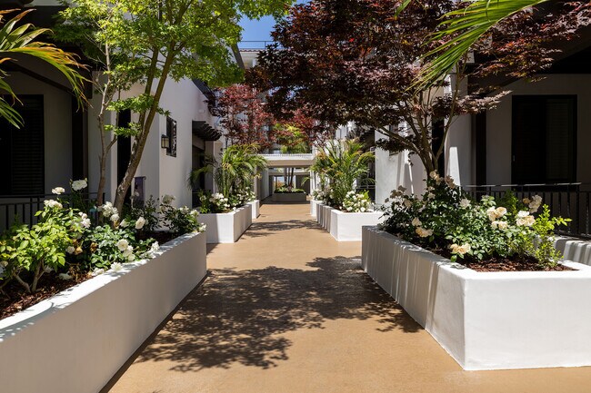 Foto del edificio - Vista Paradiso