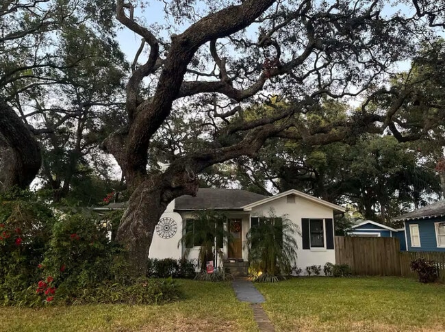 Beautiful grand oak tree - 1220 E Mohawk Ave House