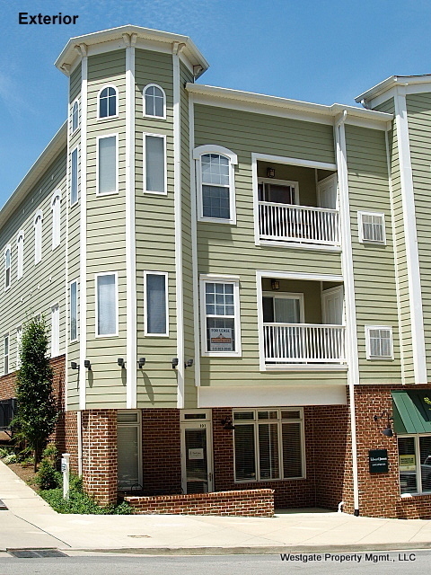 Primary Photo - AVAILABLE NOW- 1-Bed/1-bath in Lenox Village