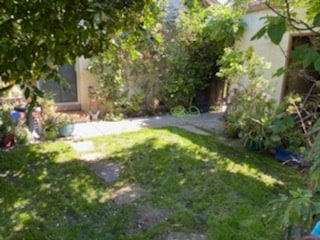 backyard - 870 Coolidge Ave