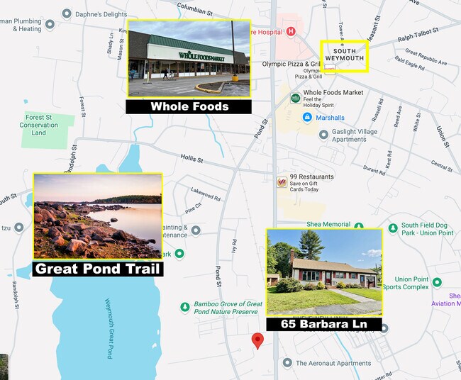 Foto del edificio - 65 Barbara Ln