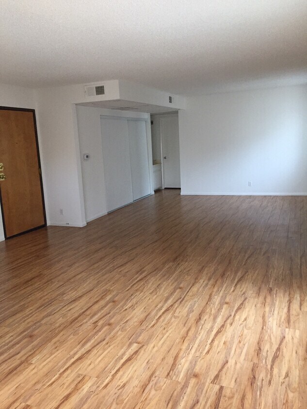 living room - 11113 Camarillo St