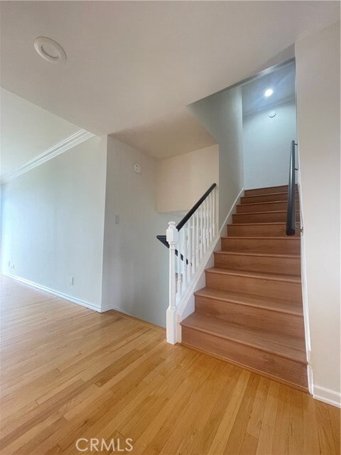 Building Photo - 28019 Braidwood Dr
