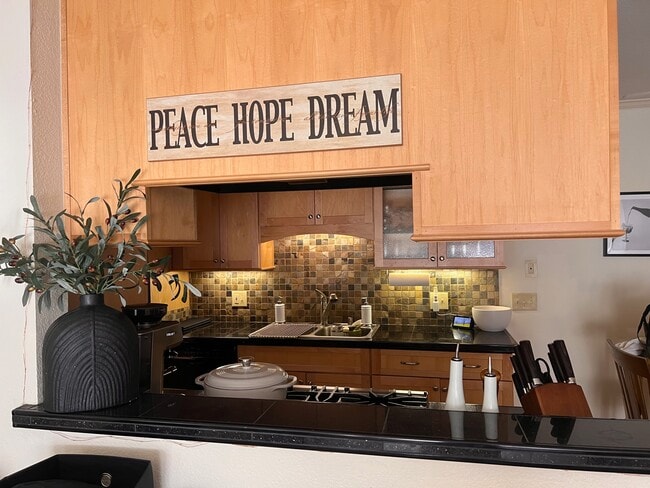 This condo has an upgraded kitchen. - 8201 Camino Colegio