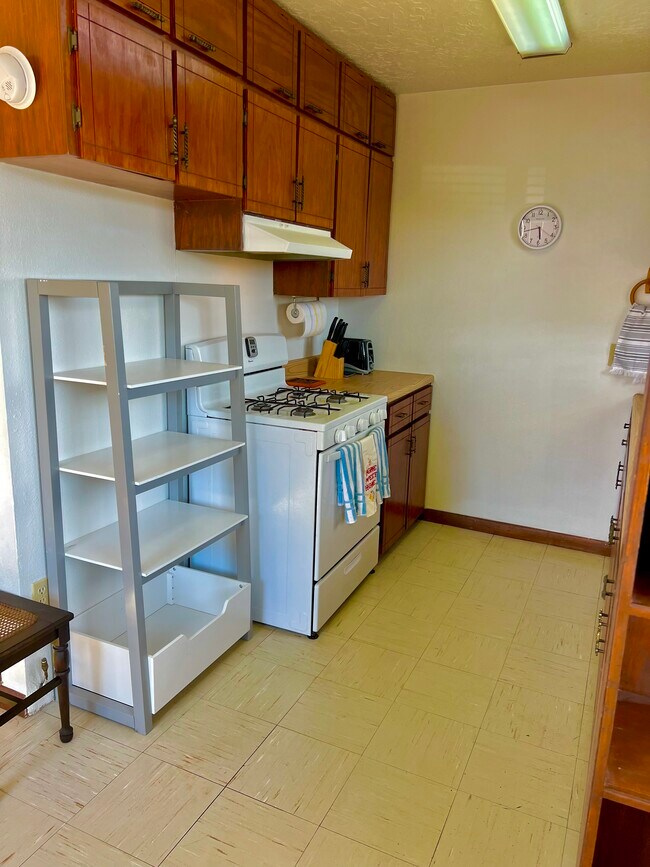 Building Photo - 3058 Tenorio Dr