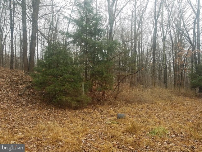 Building Photo - 295 Cold Run Valley Rd