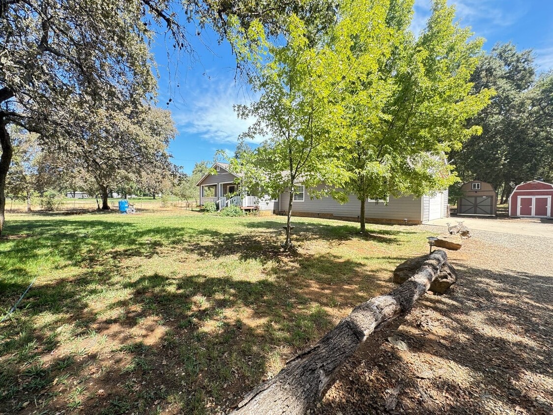 Primary Photo - 3 bed/2 ba country home