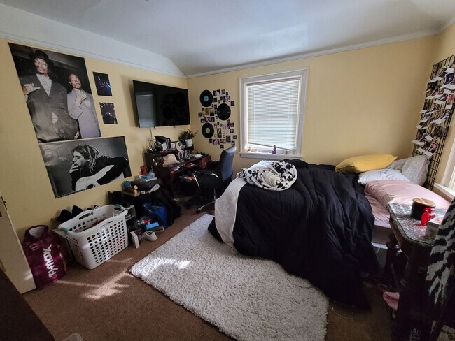 Foto del edificio - AVAILABLE JUNE 1st 2026 - 3 Bed 1 Bath Beautiful Woodland Home