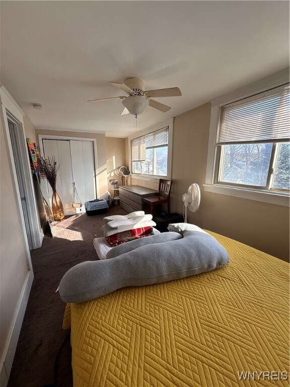 Foto del edificio - 5334 Genesee St