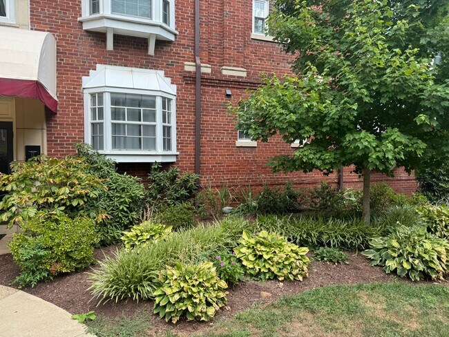 Foto del edificio - 2107 N Scott St