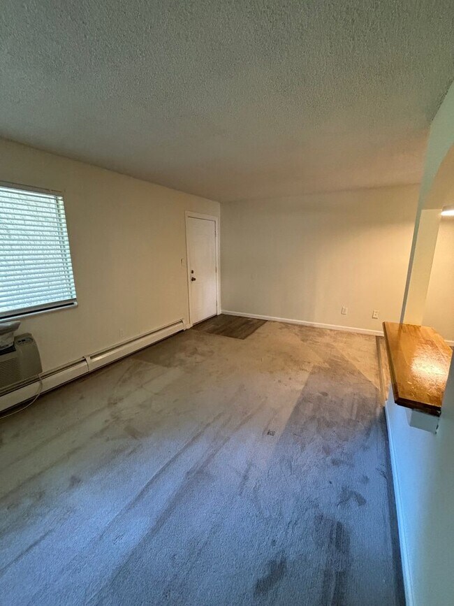 Foto del edificio - Jasmine Condos Updated 1 bd/1ba