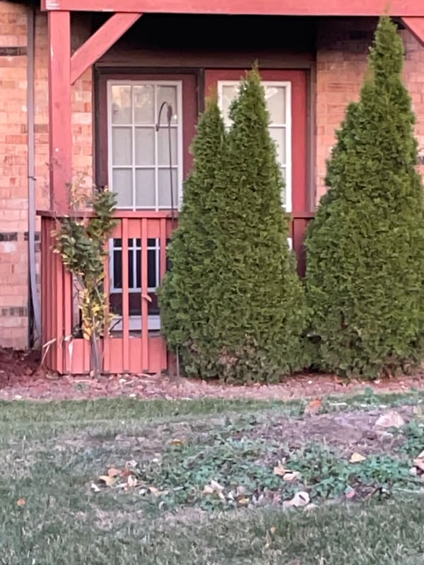 Photo - 1905 Tall Oaks Dr Apartment