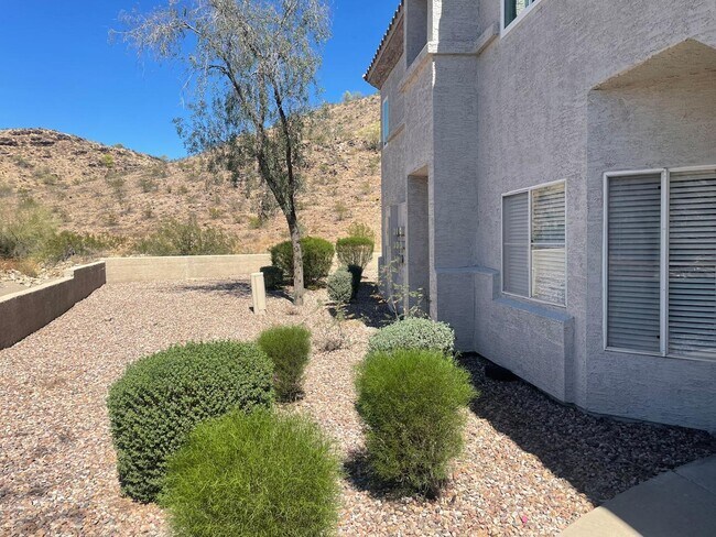 Foto del edificio - 3236 E Chandler Blvd