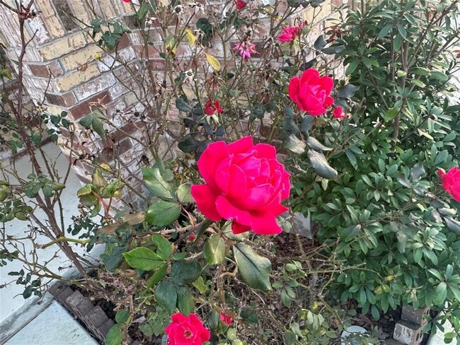 Foto del edificio - 4433 Venticano Pl