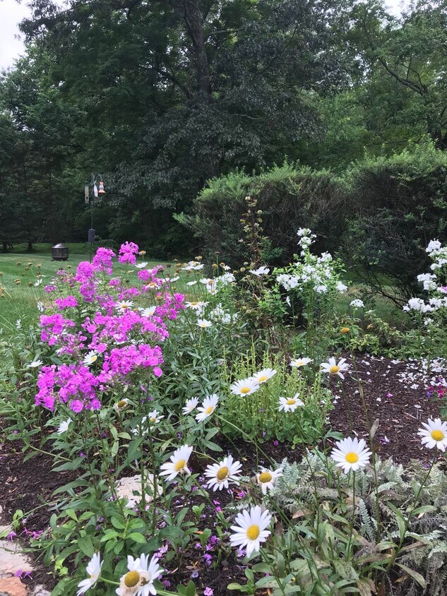 garden - 35 Pheasant Ln