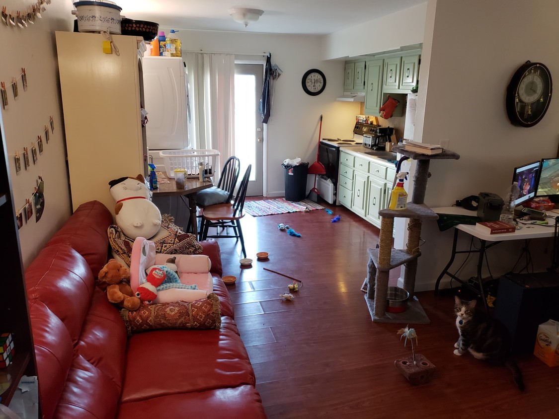 Primary Photo - 1335 A St