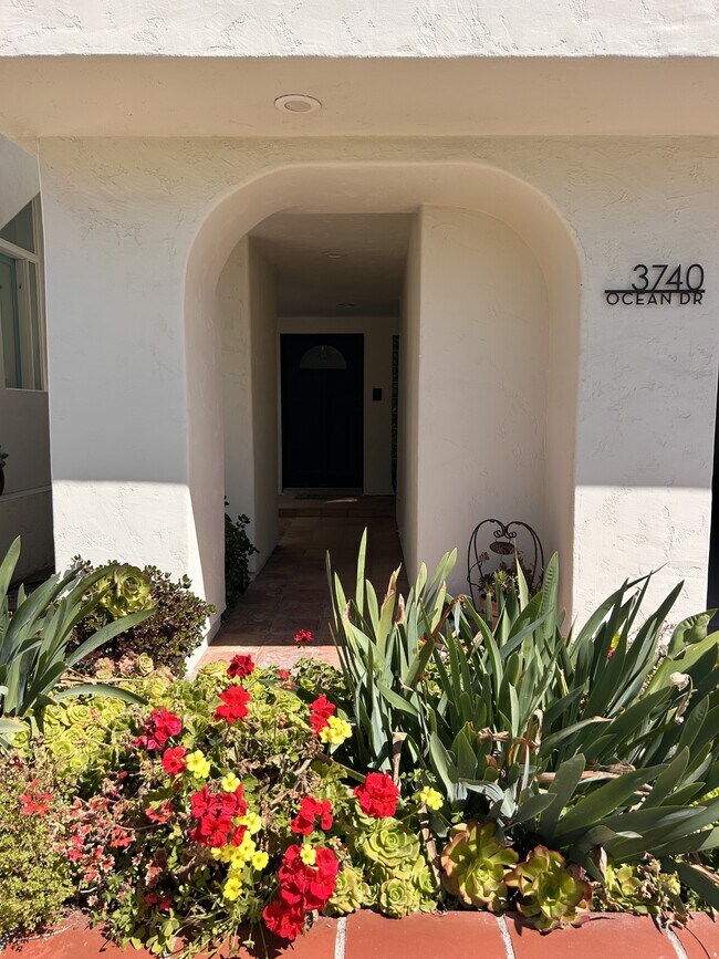 Foto del edificio - 3740 Ocean Dr