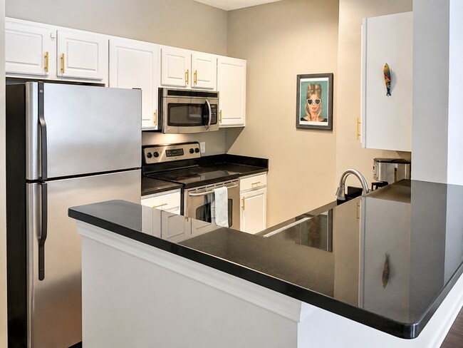 Granite countertops in kitchen - 1000 Providence Plz