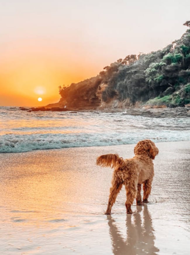 Building Photo - 133 Boracay Cir