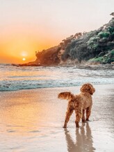 Building Photo - 133 Boracay Cir