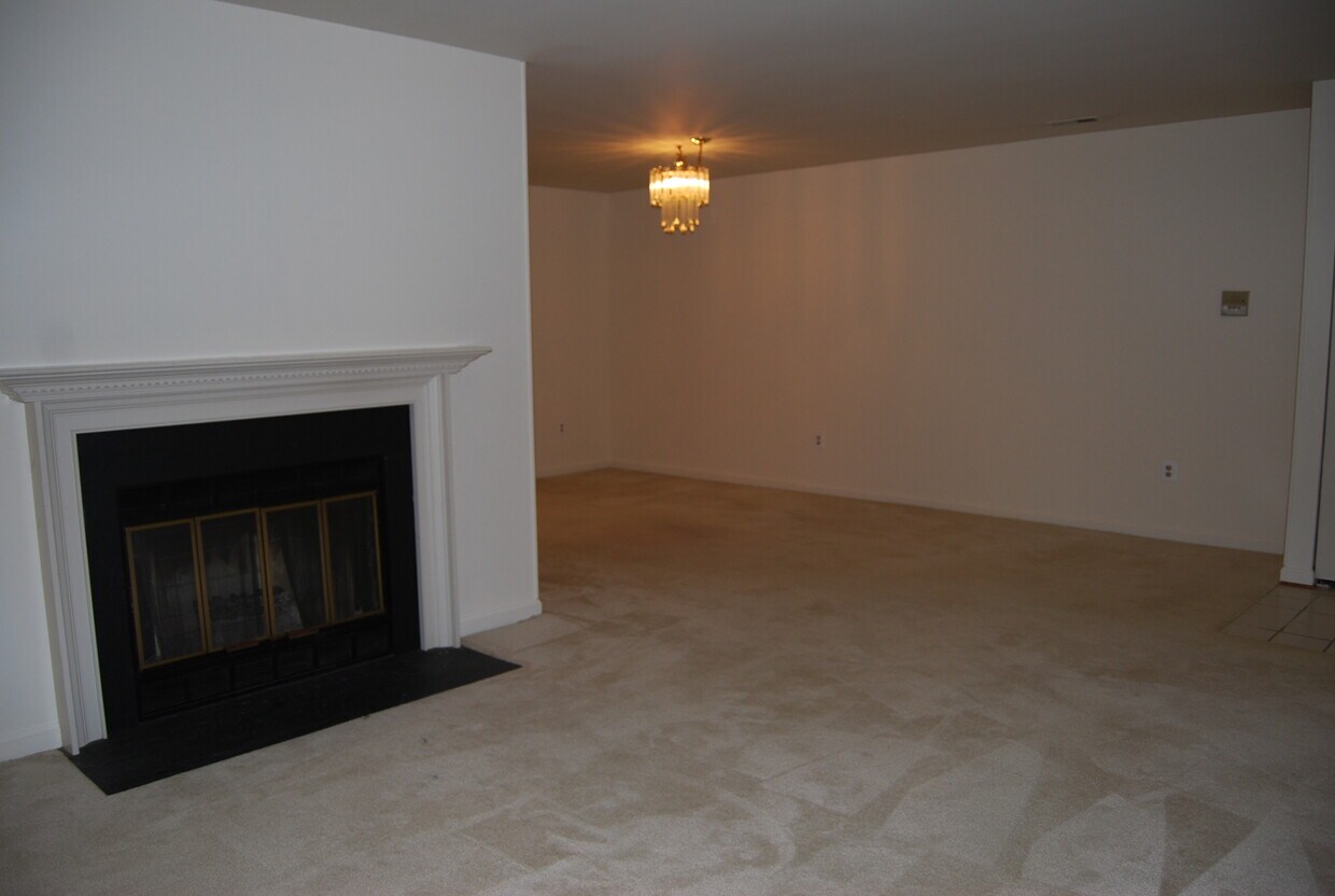 Working Fireplace - 14209 Dove Creek Way