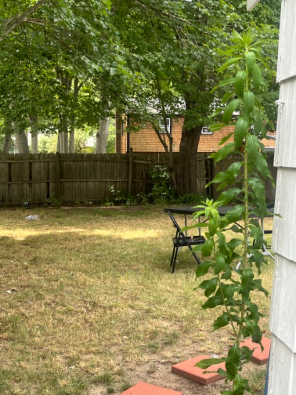 Building Photo - 35 12th Ave