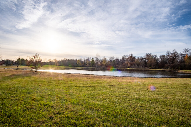 Pond and open area across the street - 8621 Greylag St