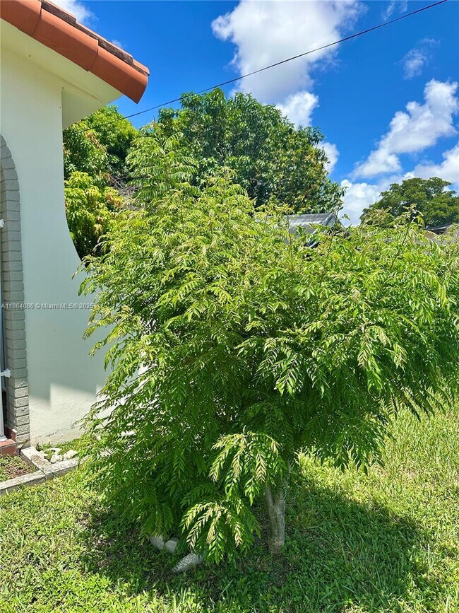 Foto del edificio - 10351 SW 7th St
