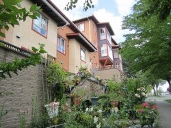 Photo principale - Chelsea Village