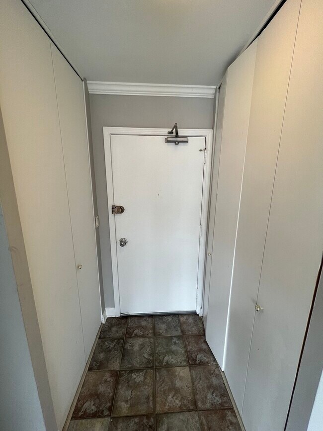 1360 N Sandburg Terrace Unit 2005, Chicago, IL 60610 Condo for Rent